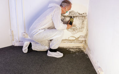 Comment traiter l’humidité ou les remontées d’humidité de votre construction ?