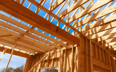 Ossature bois : comment ça fonctionne et quels sont les avantages structurels ?