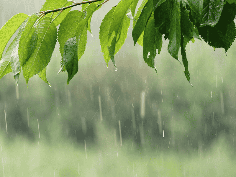 Comment préparer son terrain de construction face aux changements climatiques ?