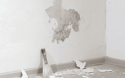 Comment identifier et traiter l’humidité et les infiltrations d’eau de votre maison en Belgique ?